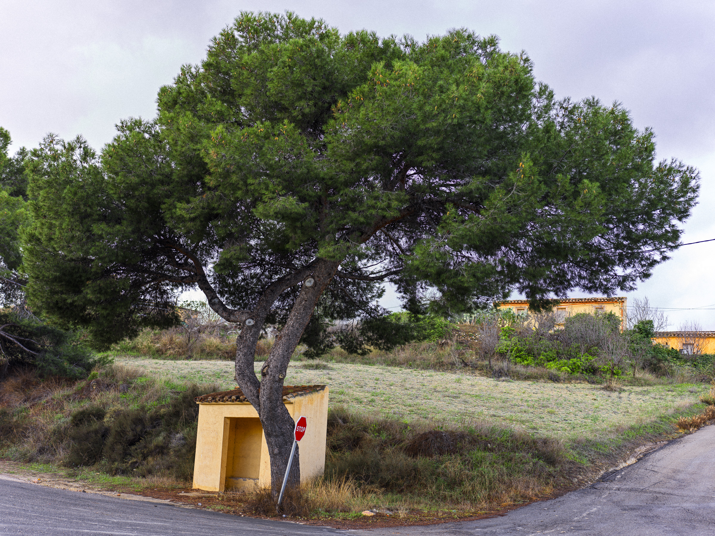 Stop undermining scientific consensus