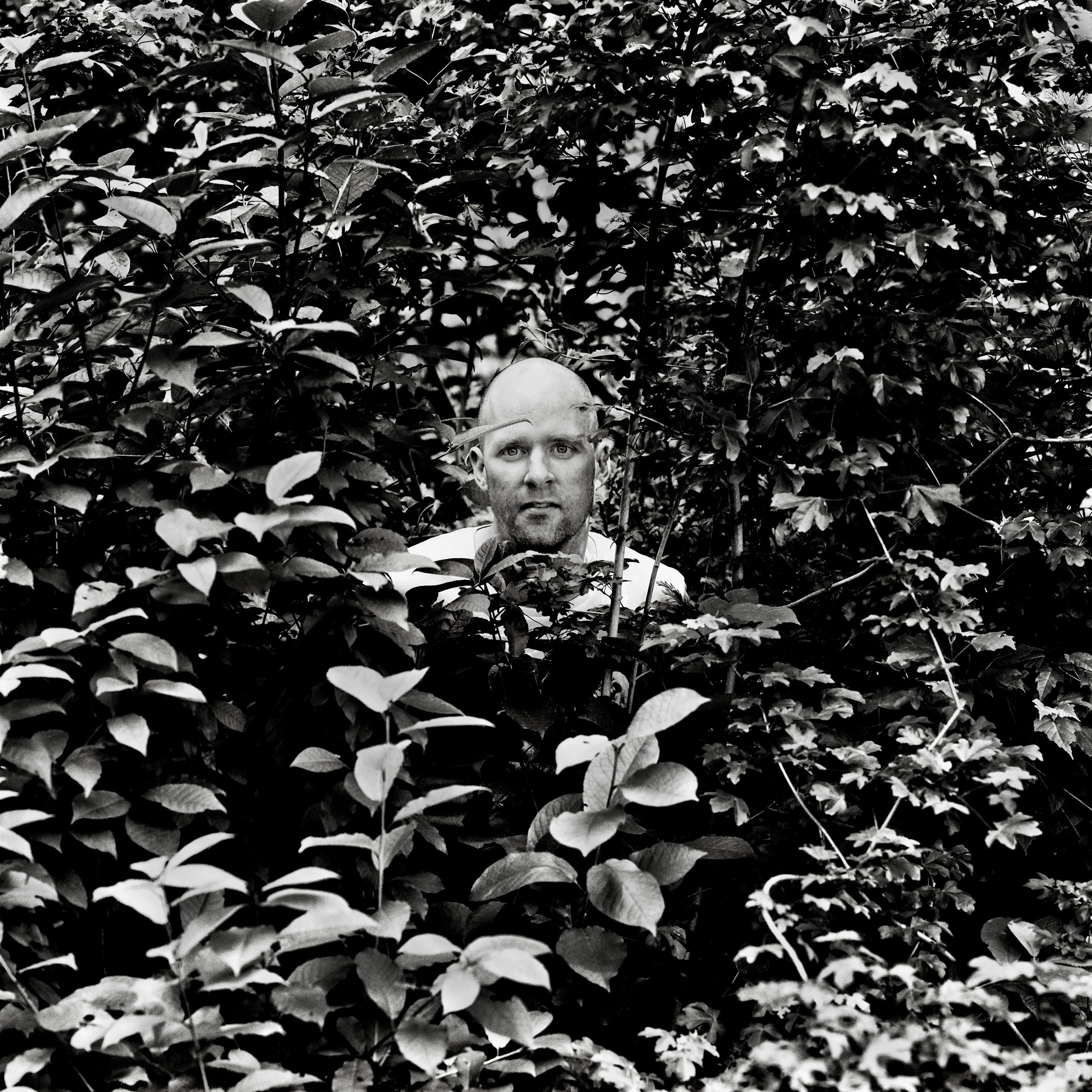 david van der meer, 2015