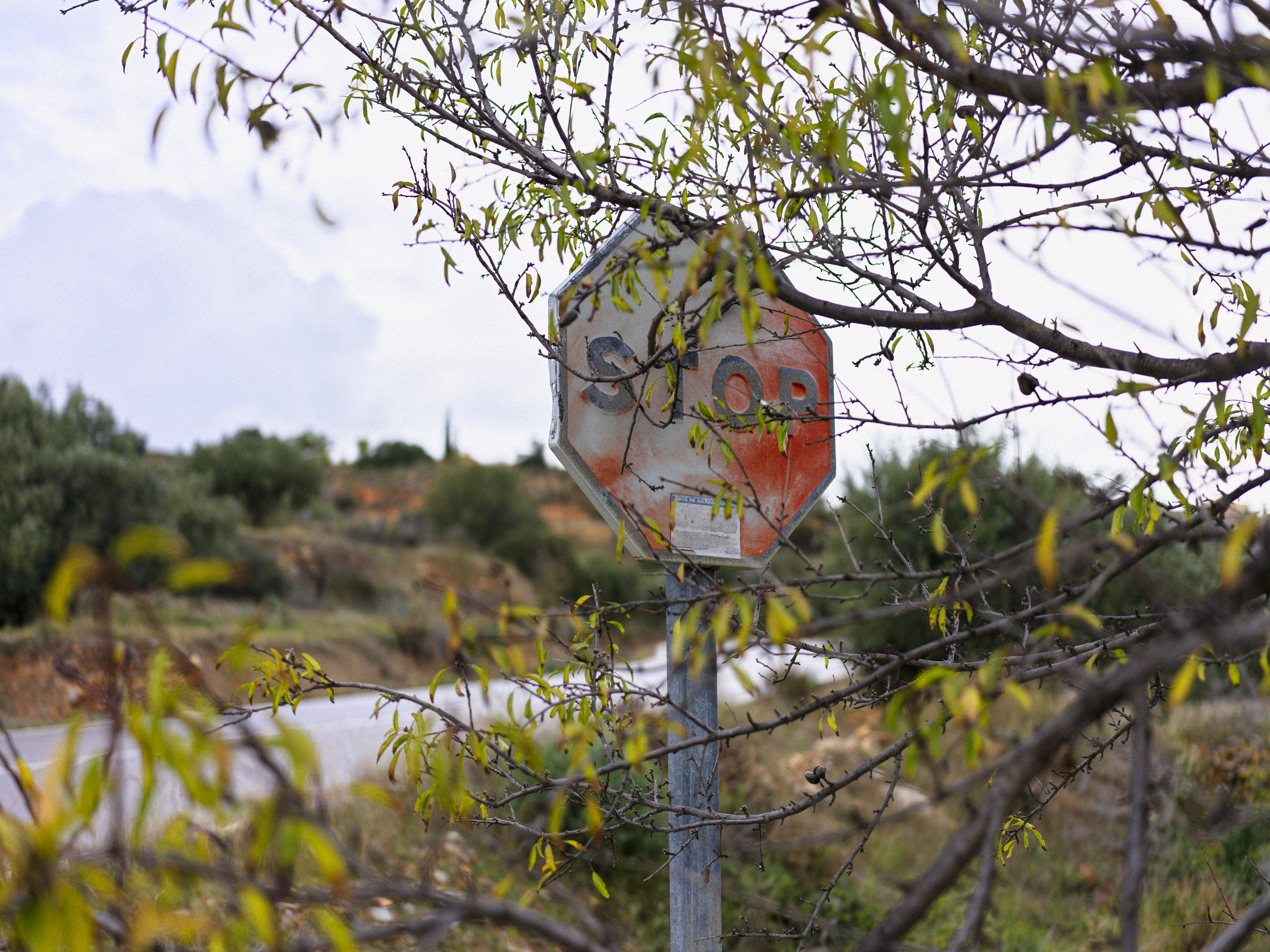 Stop paramilitary groups