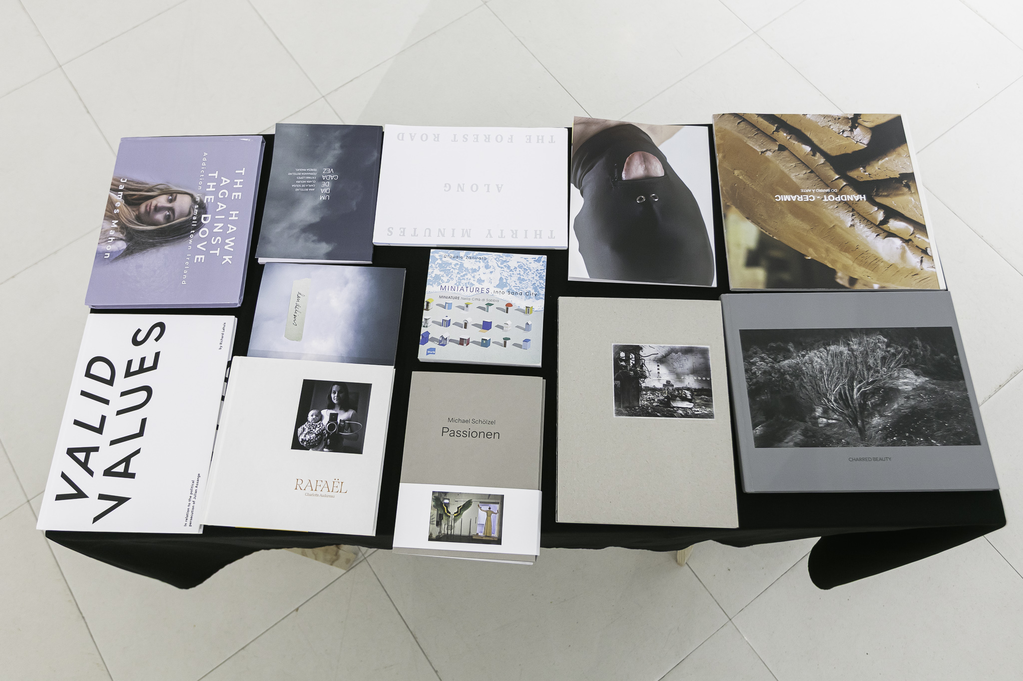 Valid Values book at Encontros da Imagem festival