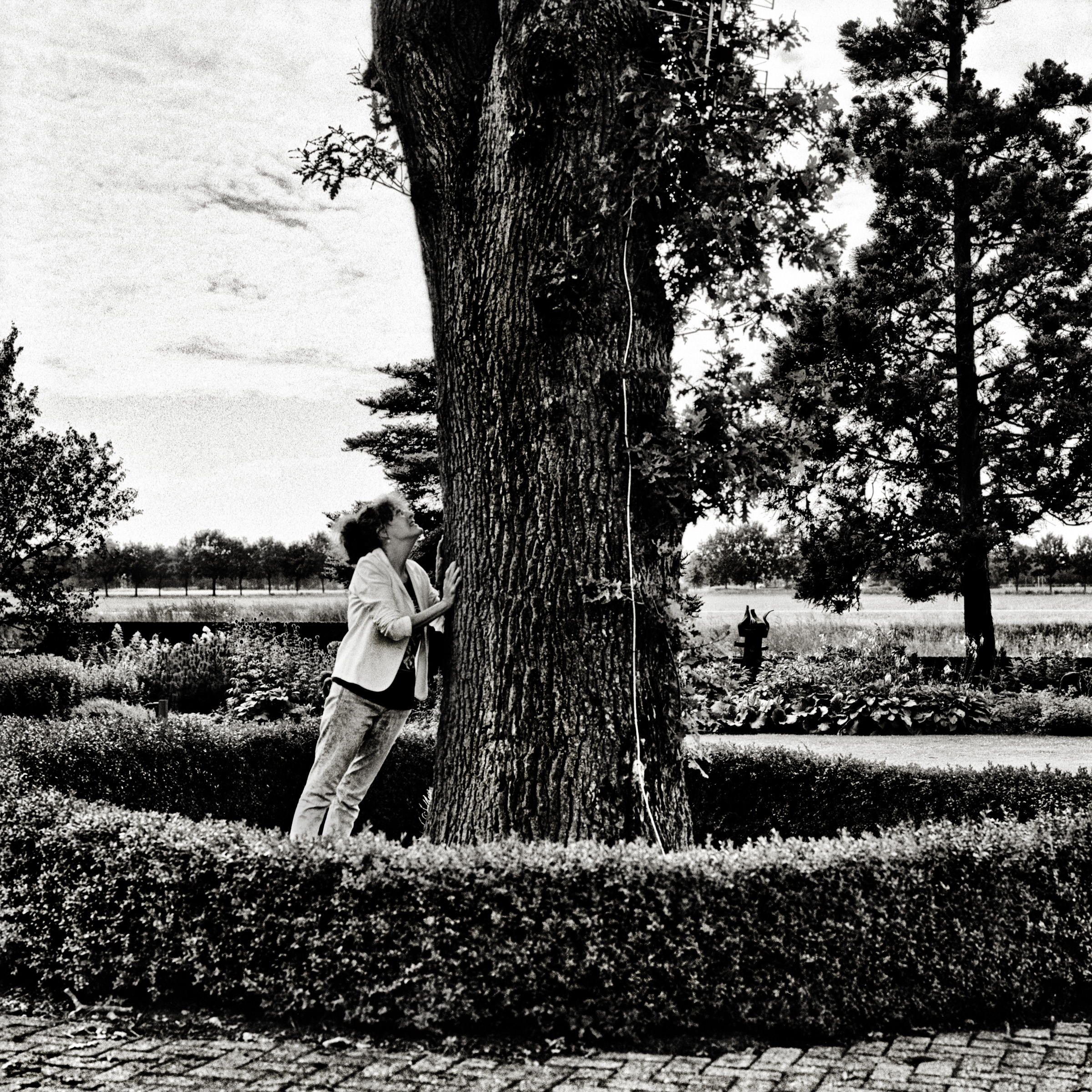 marieke geerlings, 2015