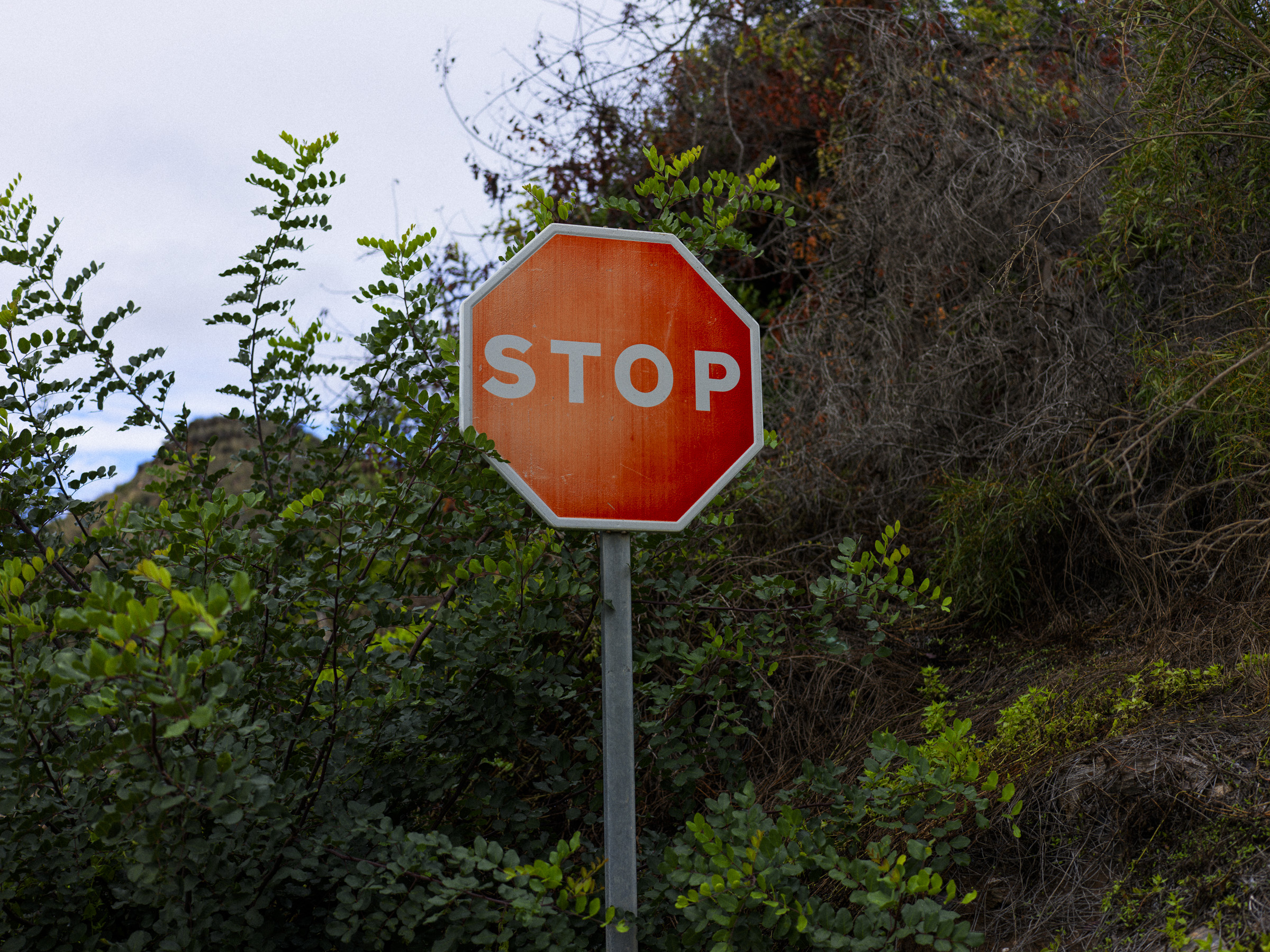 Stop abuse of “national security” to silence dissent