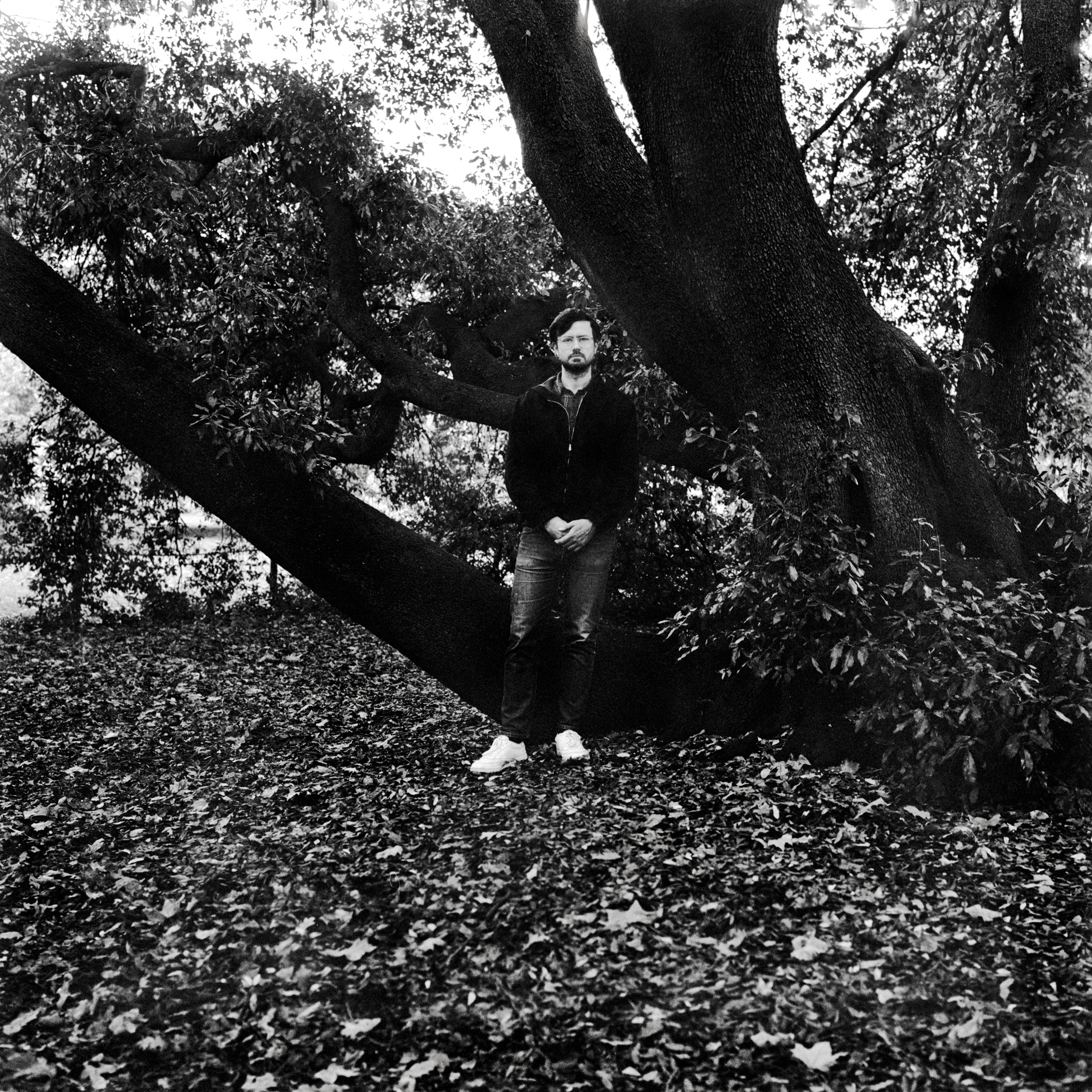 gabriel shipton, 2020