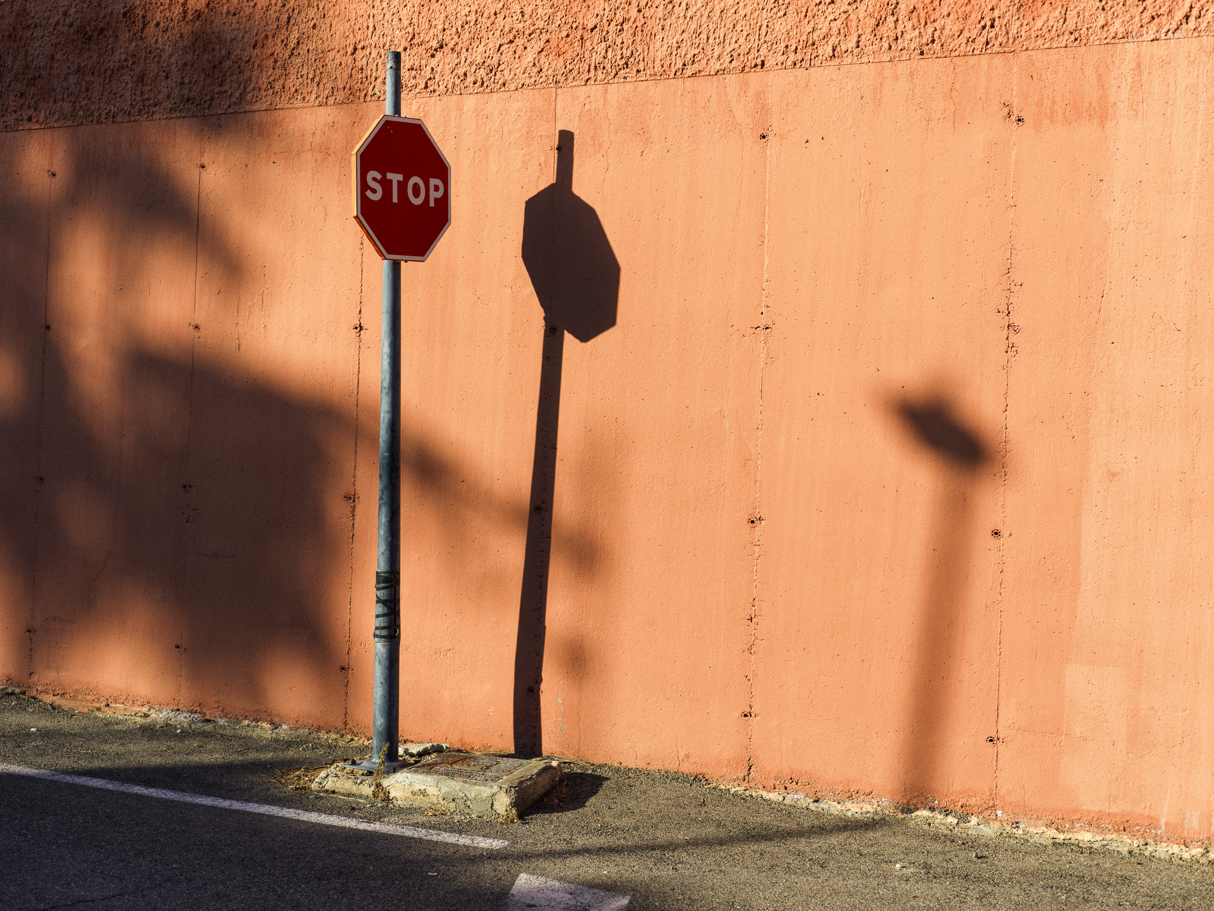 Stop data‑driven profiling that labels citizens “radicals.”