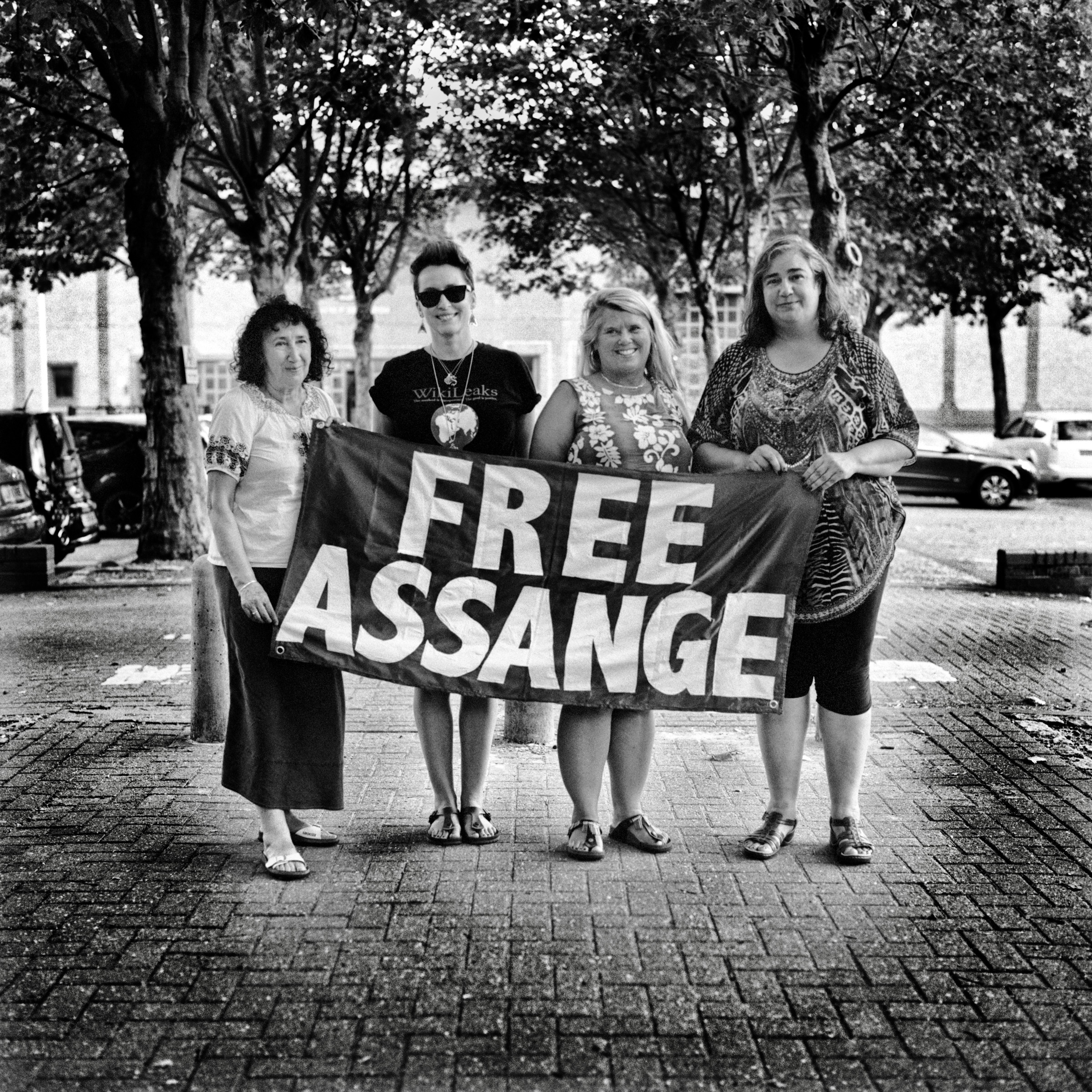 committee to defend julian assange, 2019