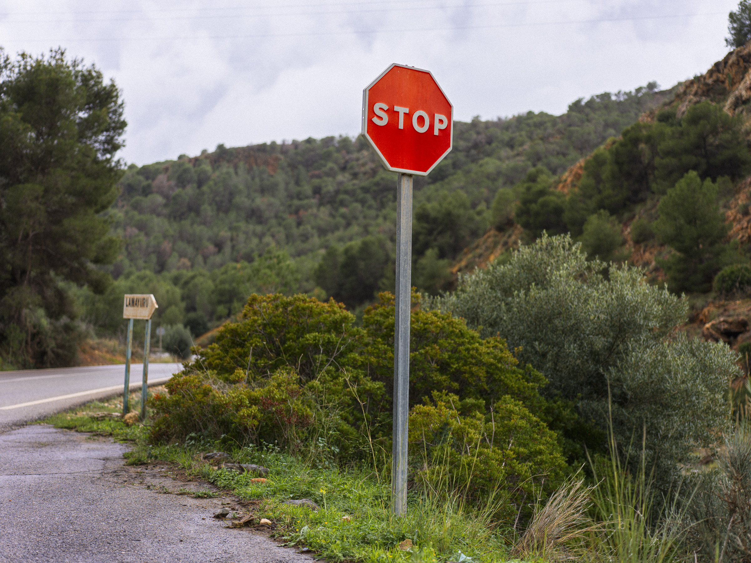 Stop green‑wash legislation (half‑measures that look eco‑friendly while polluters stay safe)